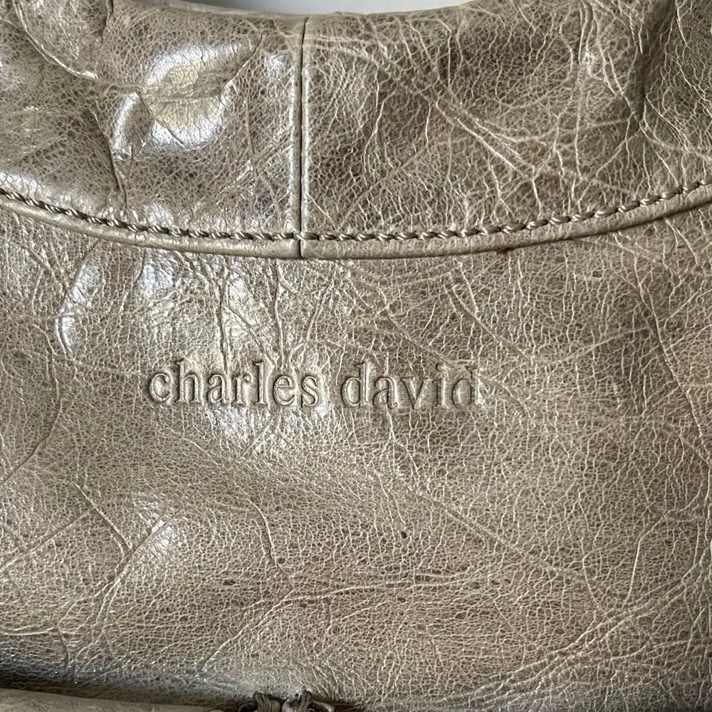 Large Charles David Hobo Bag
